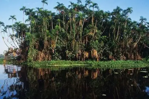 Se fortalecerá el servicio de monitoreo y pronóstico hidrometeorológico del Senamhi en la Amazonía peruana basado en modelos hidrológicos. Foto: ANDINA/Difusión