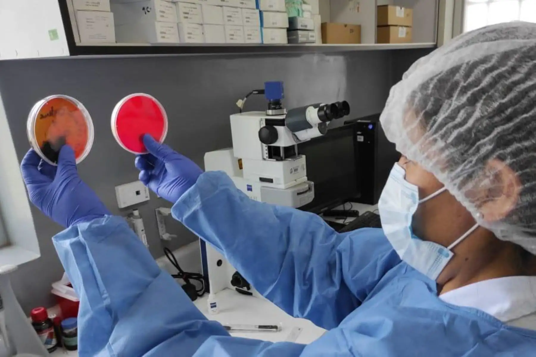 El Laboratorio de Referencia Nacional de Infecciones Respiratorias del INS es el único en realizar el diagnóstico de las pruebas de descare de difteria. Foto: ANDINA/INS
