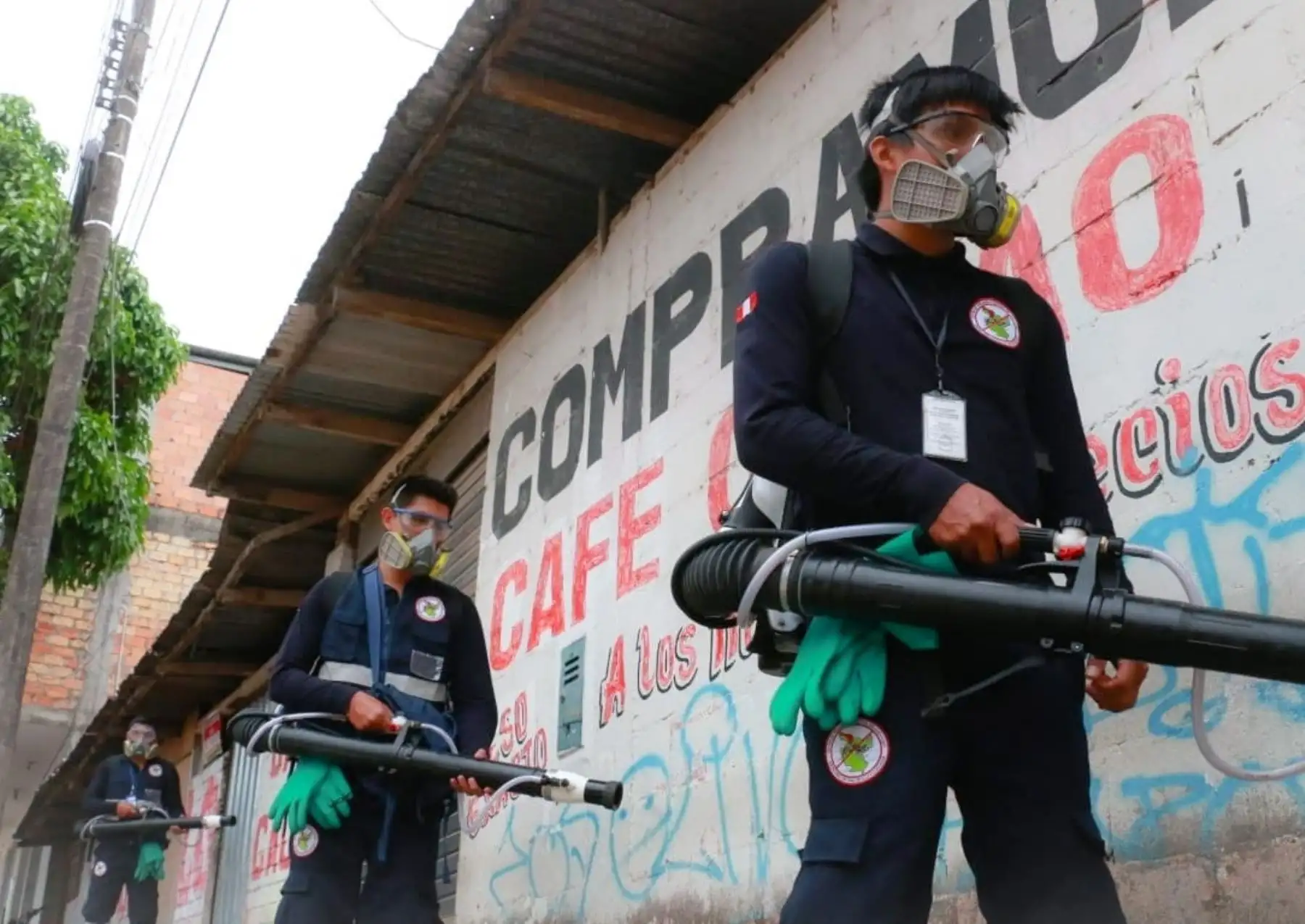Un equipo de especialistas del Ministerio de Salud se encuentra en San Martín para sumarse a la lucha contra el dengue en esa región. ANDINA/Difusión