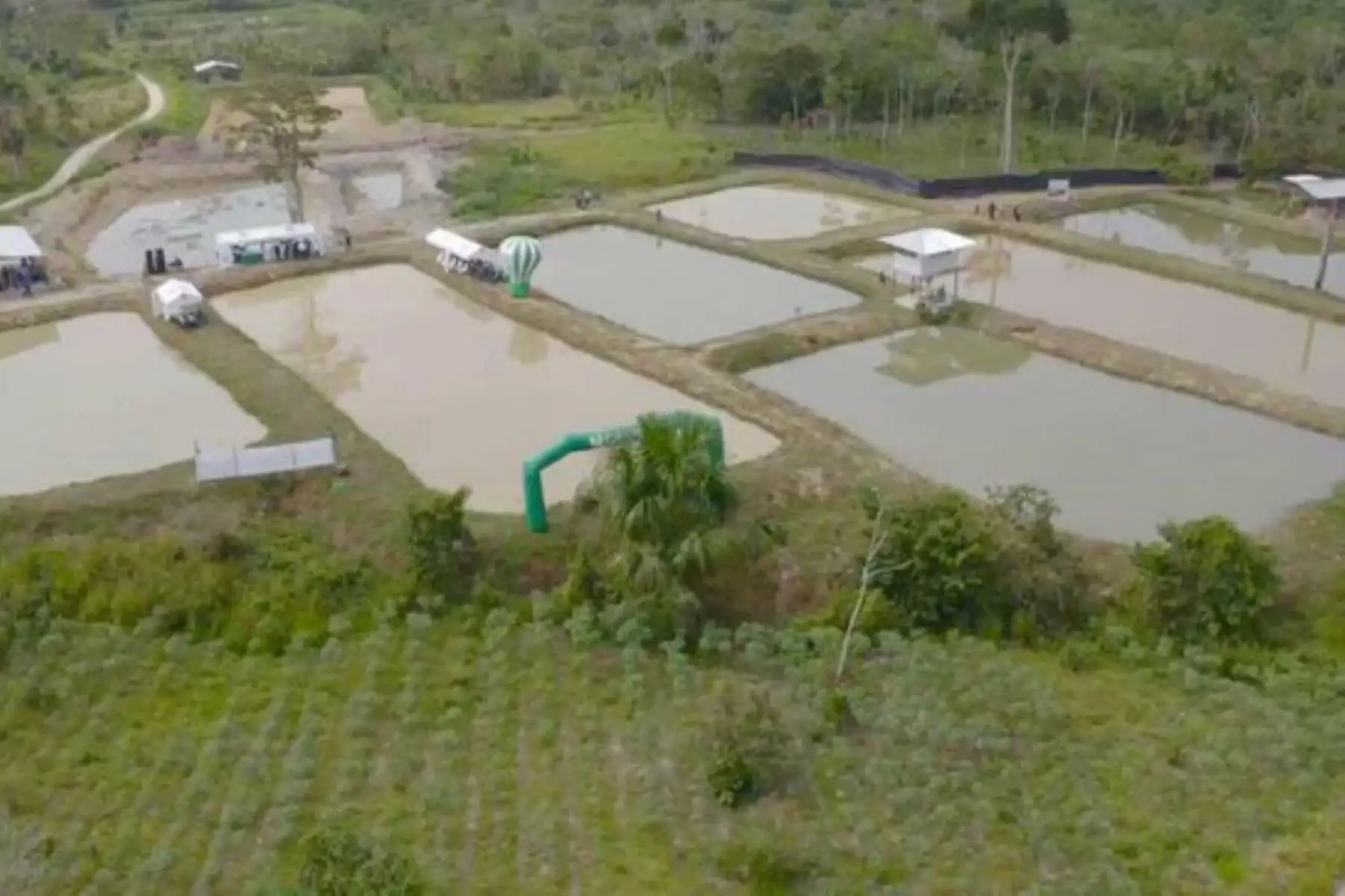 Devida invirtió 55 millones de soles en los últimos dos años, para fortalecer desarrollo alternativo con 17 mil familias en Huánuco. Foto:ANDINA/ Devida