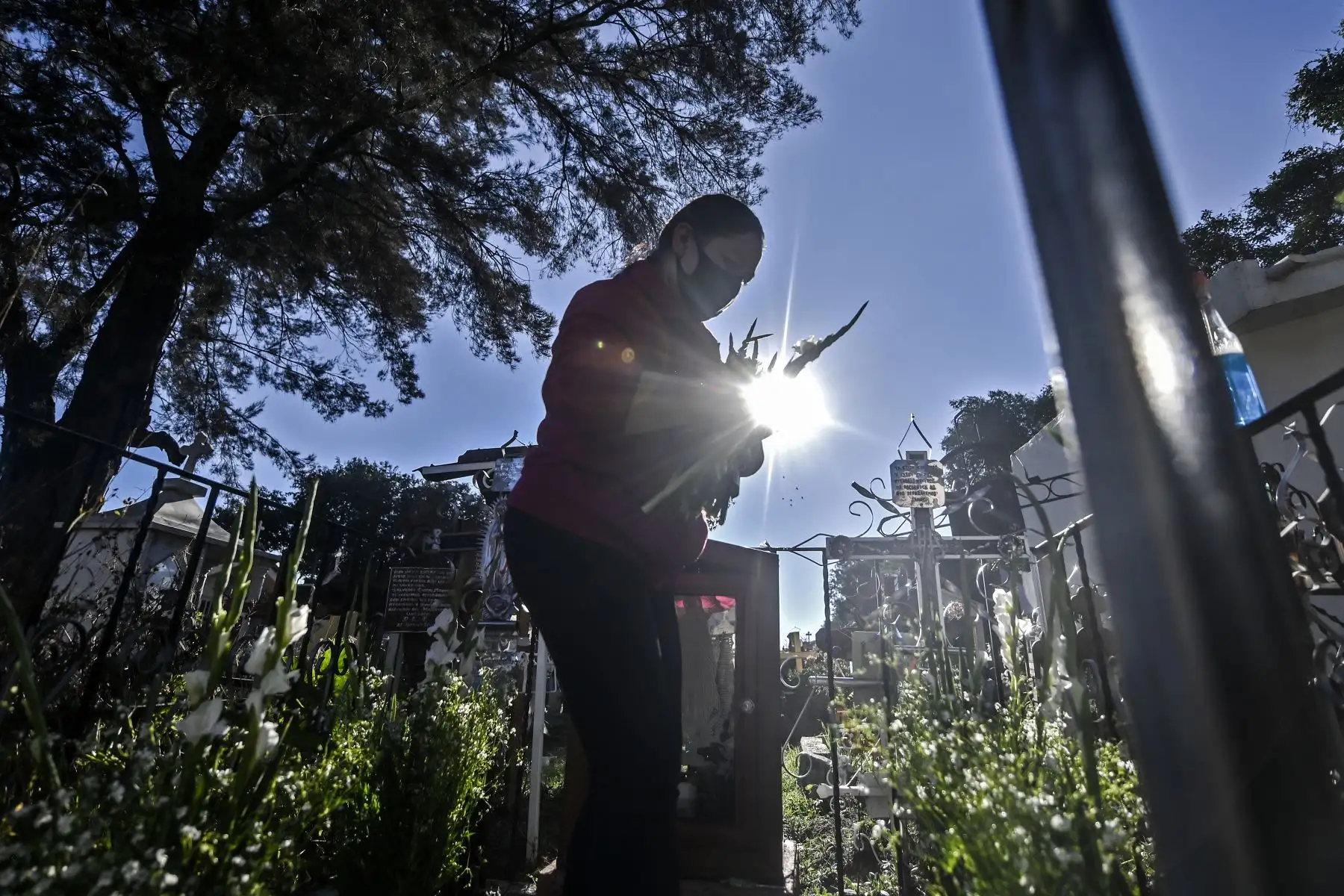 Una mujer decora la tumba de un familiar en el Panteón La Magdalena, en San Pedro Cholula, estado de Puebla, México, el 1 de noviembre de 2020, el Día de Todos los Santos, en medio de la pandemia del coronavirus. Foto: AFP