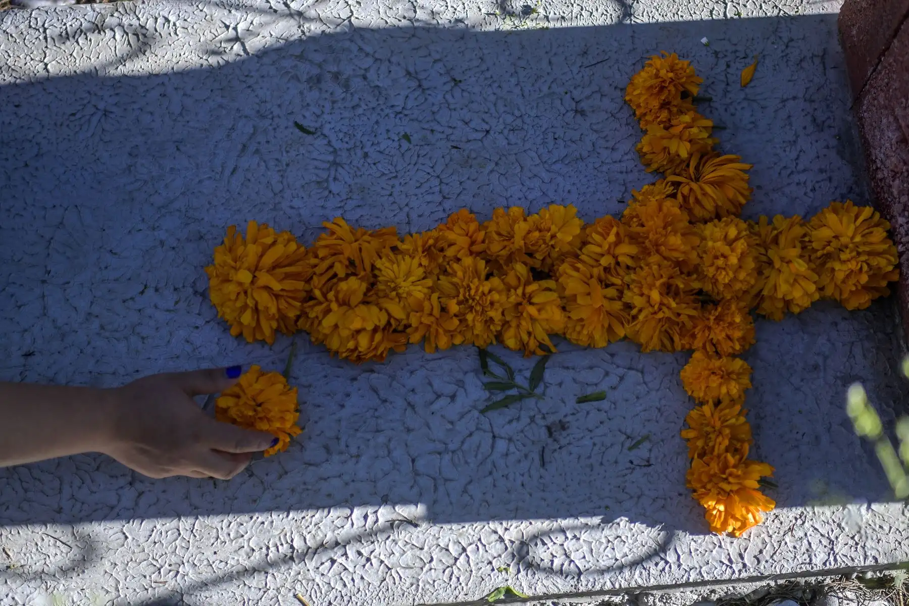 Una mujer decora la tumba de un familiar con caléndulas mexicanas formando una cruz en el Panteón La Magdalena, en San Pedro Cholula, estado de Puebla, México, el 1 de noviembre de 2020, en el Día de Todos los Santos, en medio de la pandemia del coronavirus. Foto: AFP