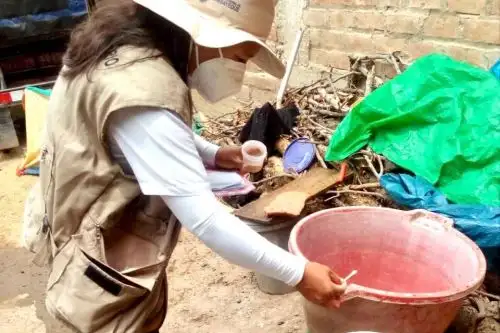 La región Lambayeque fortalece intervenciones contra el dengue. ANDINA/Difusión