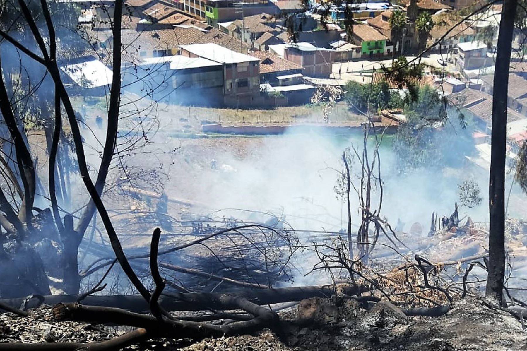 Incendio forestal en Áncash mata 17 animales y daña red de tubería de agua potable. ANDINA/Difusión