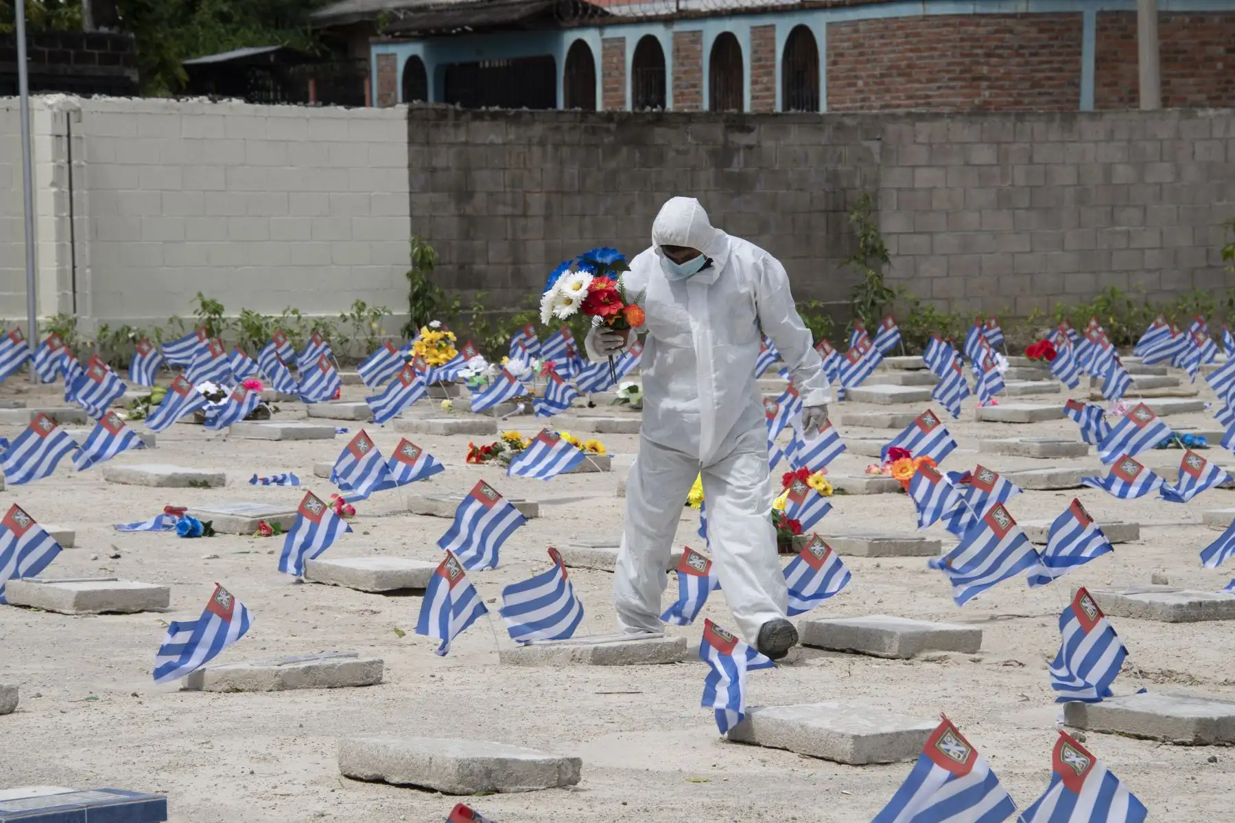 Un trabajador municipal con traje de bioseguridad porta flores entregadas previamente por un familiar de una víctima del Covid-19, para ser depositadas en su tumba, en el cementerio La Bermeja durante el Día de Muertos, en San Salvador. Foto: AFP