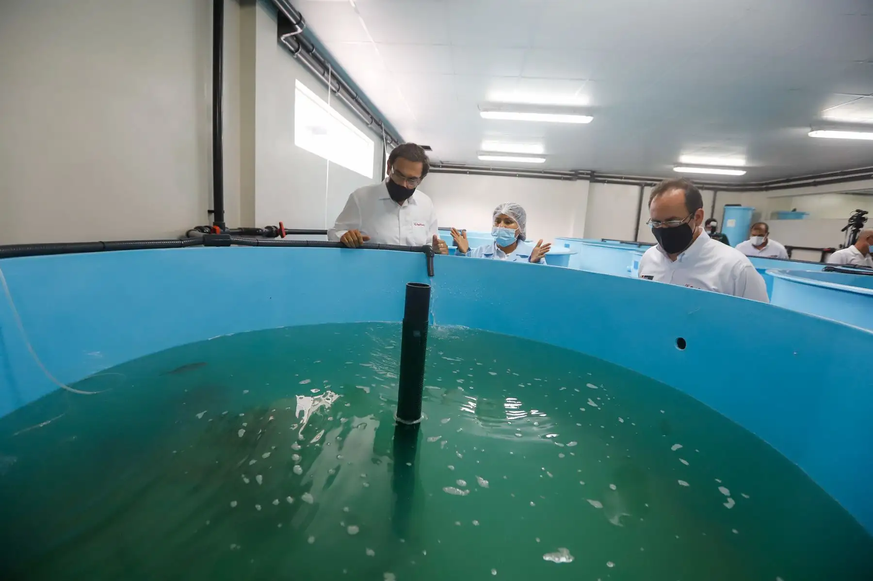 El presidente Martín Vizcarra junto al titular de Producción, Jose Salardi, visita el CITEacuícola Pesquero Ahuashiyacu, centro que impulsa las cadenas productivas acuícolas, mejorando la oferta, productividad y calidad de sus productos. Foto: ANDINA/Prensa Presidencia