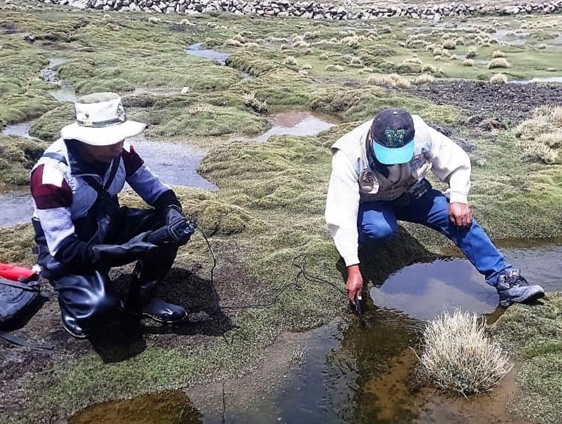 Gobierno Regional de Tacna impulsa la investigación científica en el Área de Conservación Regional Vilacota Maure, ubicada en la sierra de esa región.