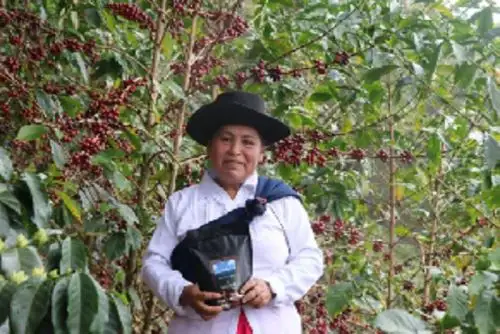 La caficultora Hilda Leguía Gonzales (40) se impuso a participantes de 10 regiones que presentaron 184 muestras.