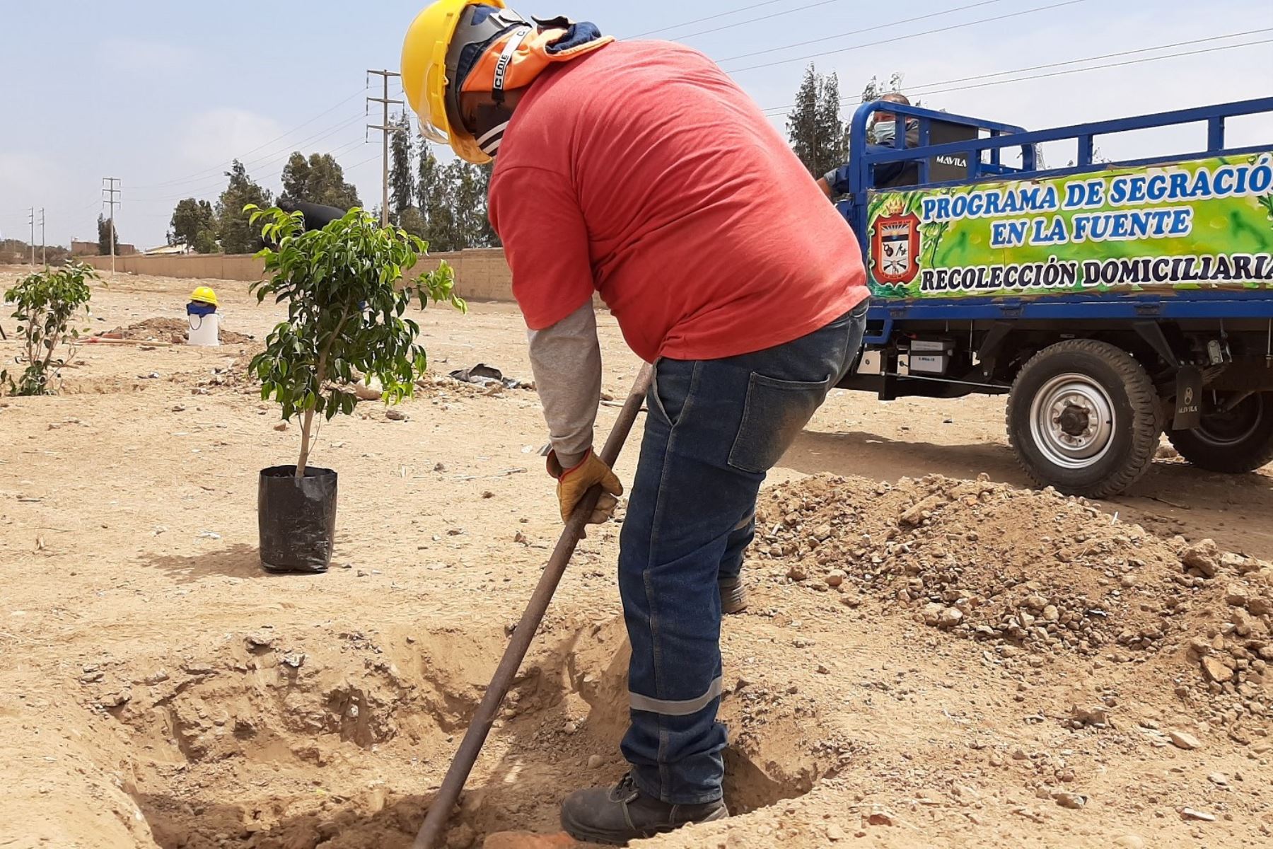 Trabajos de arborización en el distrito de Santiago de Cao, en la región La Libertad. Foto: ANDINA/Difusión