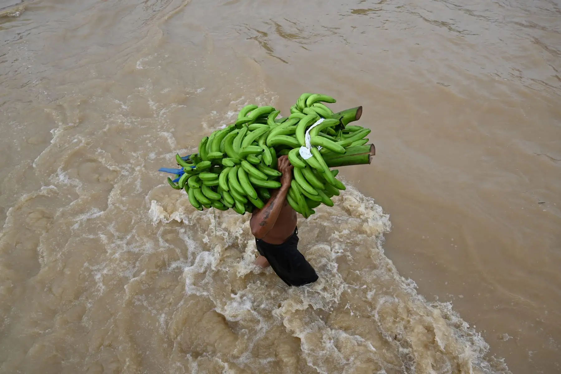 Un vadeadores transportando plátanos luego del desborde del río Ulúa por las fuertes lluvias provocadas por el huracán Eta, ahora degradado a tormenta tropical, en la ciudad de El Progreso, departamento de Yoro, 260 kms al norte de Tegucigalpa.
Foto: AFP