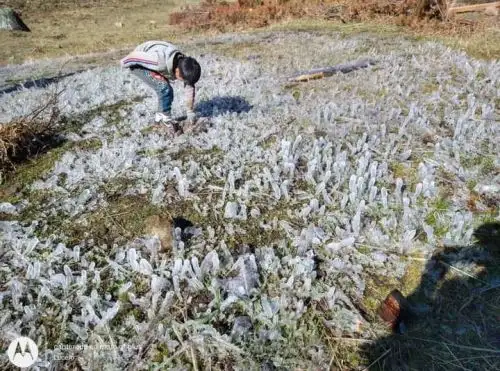 Heladas afectan sembríos en 34 comunidades andinas de Lambayeque, reportó el COER.