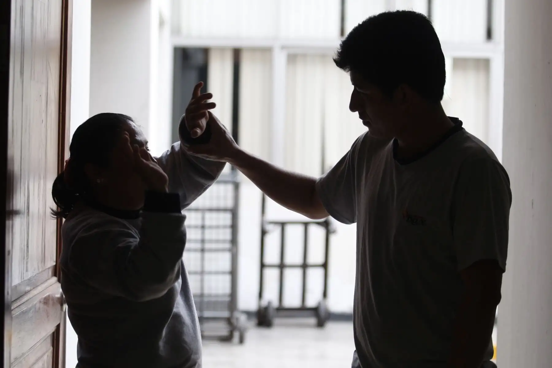 Ministra de la mujer destacó que la data oficial consolidada por INEI permitirá desarrollar involucrar a la sociedad en las tareas de prevención de la violencia. Foto: ANDINA/archivo.