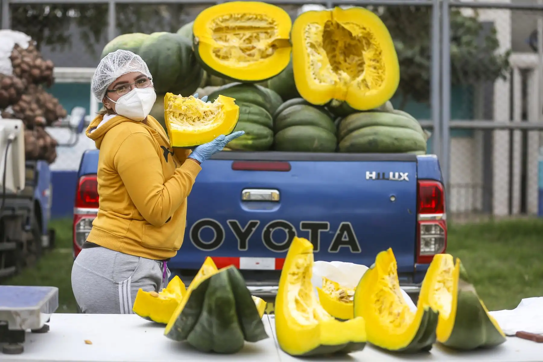 El zapallo y la calabaza son dos especies ancestrales y emblemáticas de nuestra biodiversidad, destaca el Ministerio del Ambiente (Minam) que presentó un estudio de estos dos cultivos. ANDINA/DifusiónANDINA/Difusión