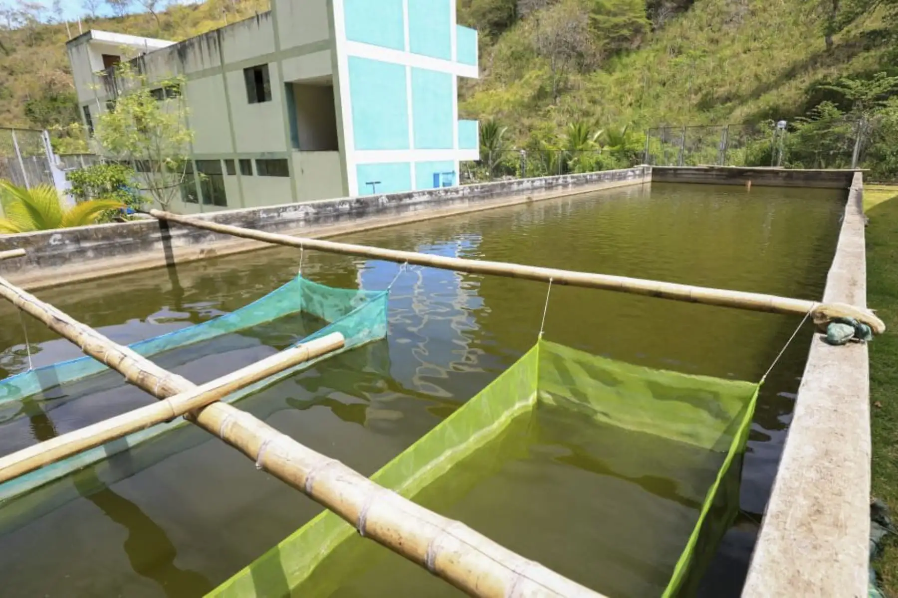 El ministro de la Producción, José Salardi, junto al alcalde de San Ignacio y el gerente de Desarrollo Económico, realizó una visita técnica al centro experimental acuícola “La Balsa”, ubicado en la provincia de San Ignacio en Cajamarca. Foto: Produce