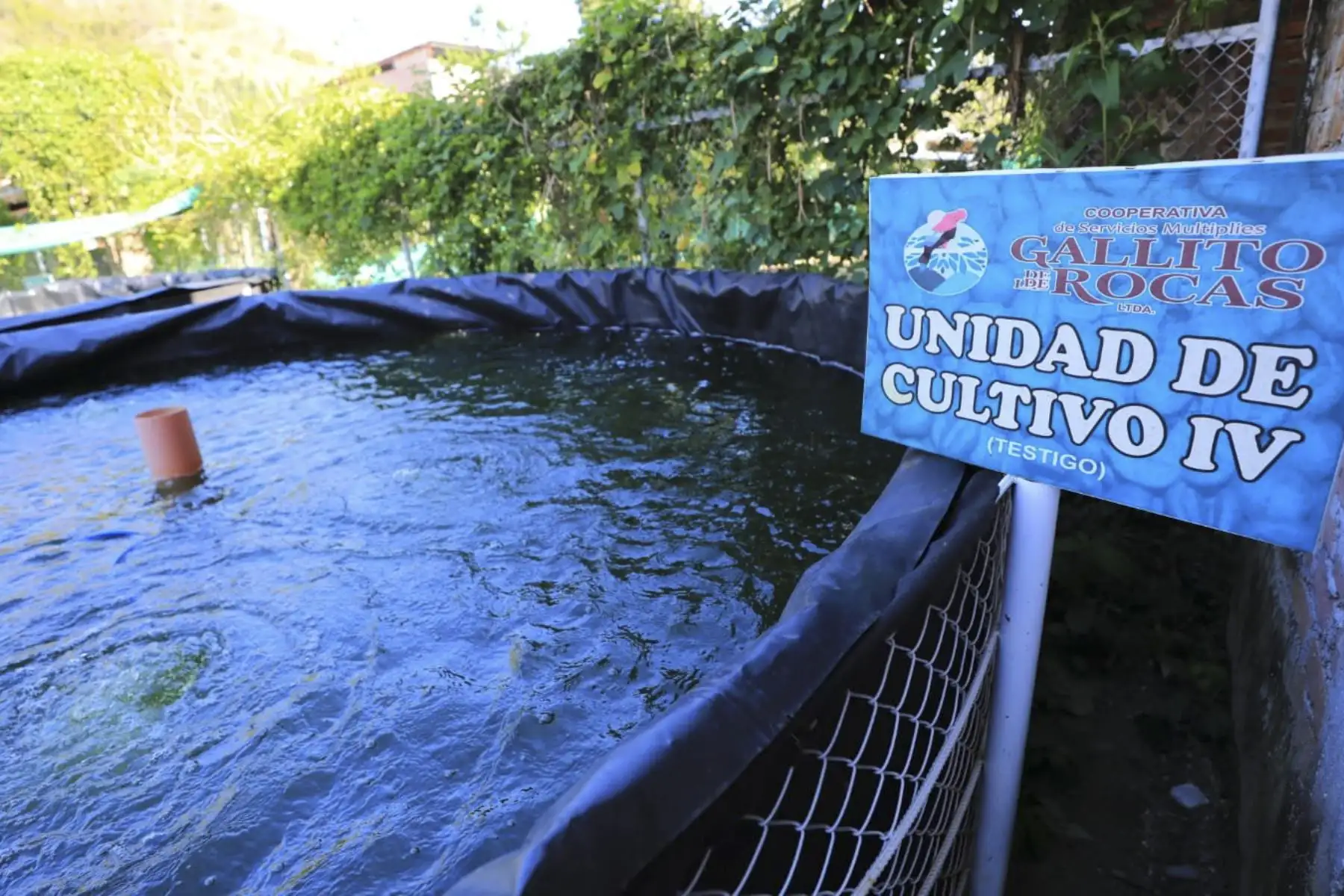 El ministro de la Producción, José Salardi, junto al alcalde de San Ignacio y el gerente de Desarrollo Económico, realizó una visita técnica al centro experimental acuícola “La Balsa”, ubicado en la provincia de San Ignacio en Cajamarca. Foto: Produce