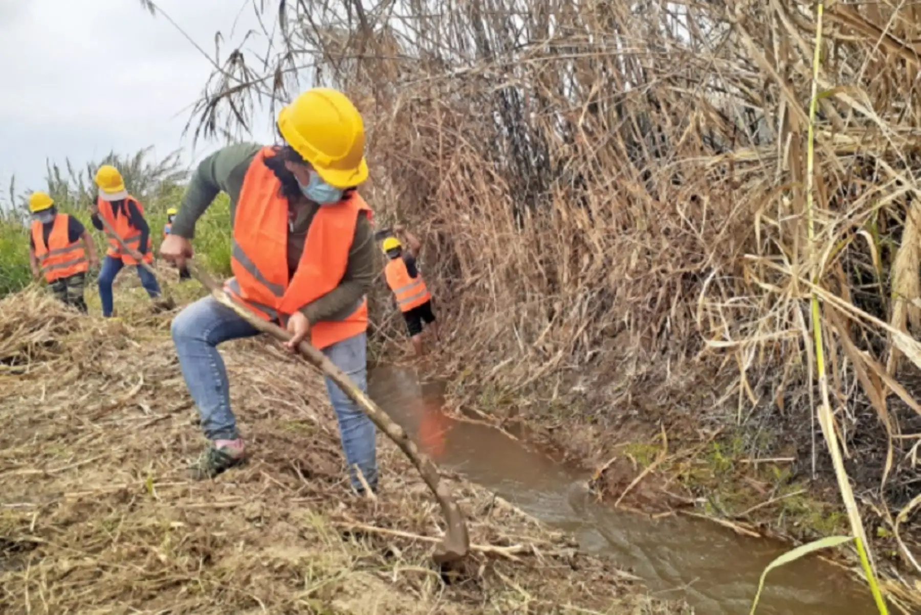 El Ministerio de Agricultura y Riego (Minagri), con el soporte técnico de la Autoridad Nacional del Agua (ANA), inició el mantenimiento de canales de riego y drenes en el Valle de Nepeña, provincia del Santa, región Áncash, que demandará una inversión de 1 millón 862,228 soles. Foto: ANA/Minagri