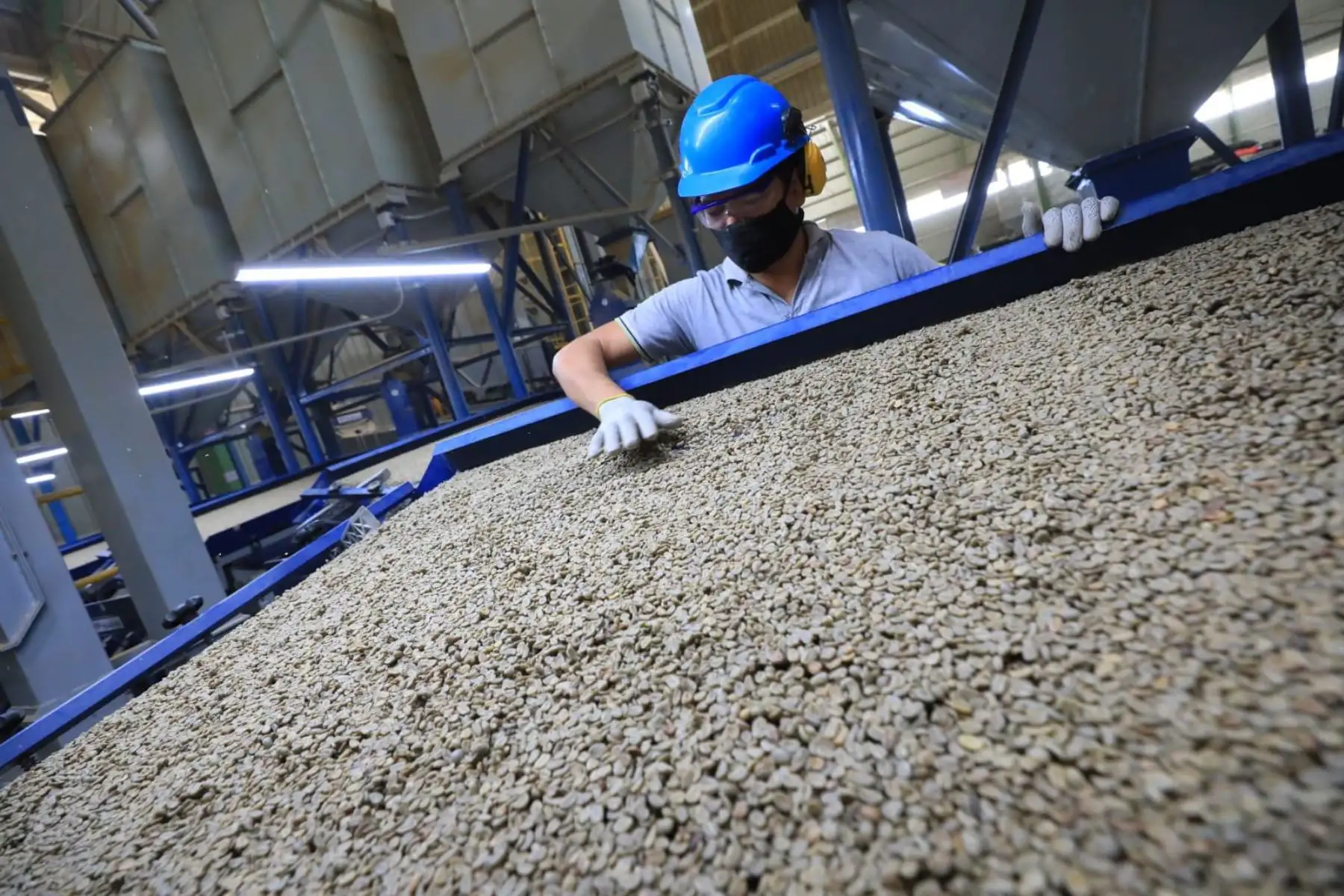 El ministro de la Producción, JoseSalardi, junto al gobernador regional de Cajamarca, Mesias Guevara, y el alcalde provincial de Jaén, Francisco Delgado, realizan una visita técnica a las instalaciones de la planta y laboratorios de la cooperativa cafetalera Cenfrocafe, ubicada Jaén.
Foto: Ministerio de la Producción