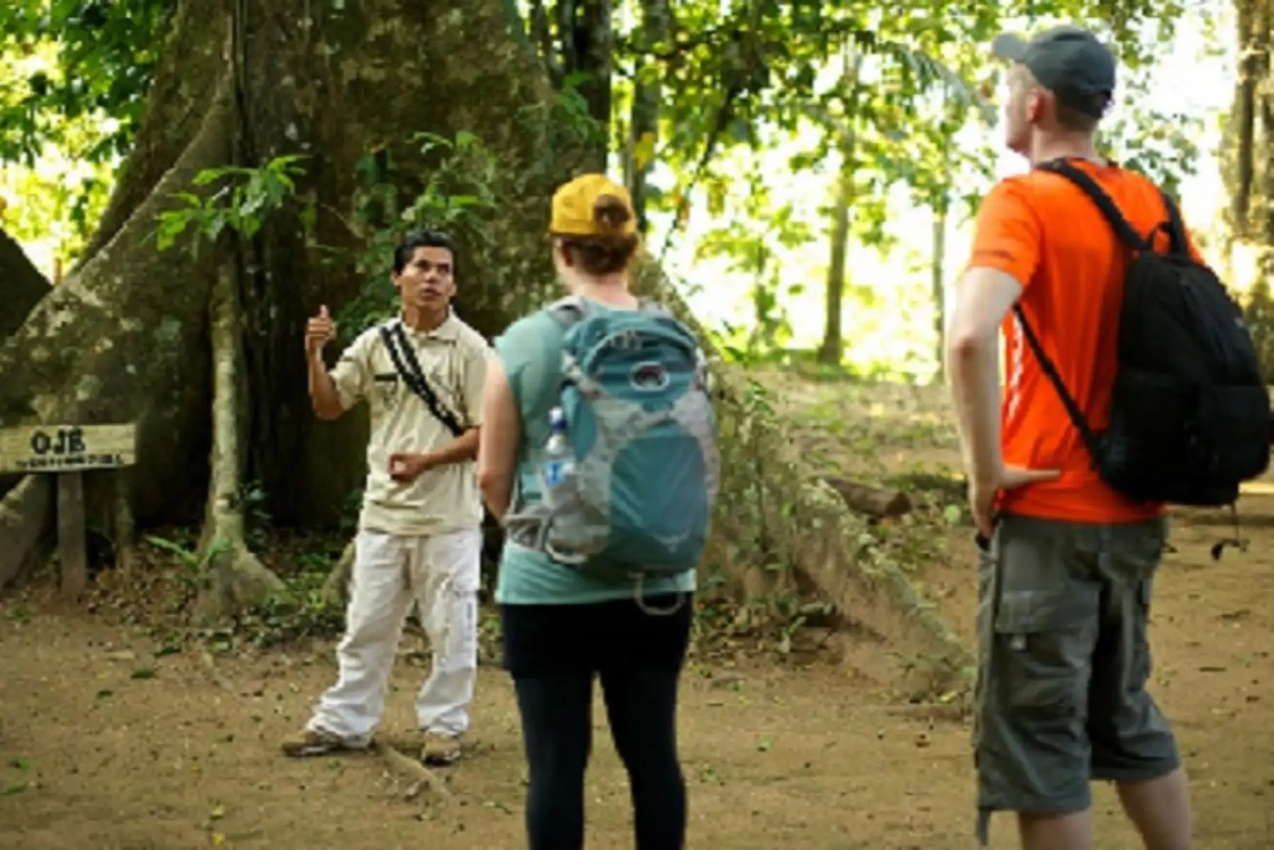 Foto: ANDINA/difusión.