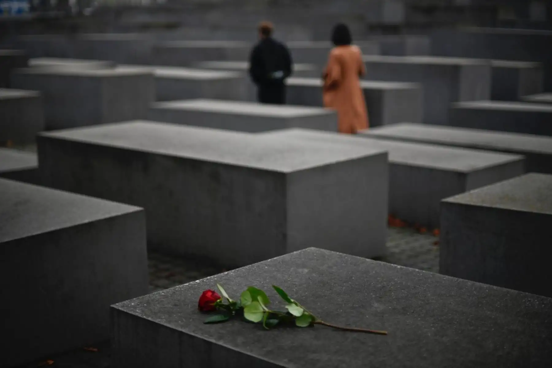 Se colocan flores y velas en un monumento a la sinagoga Muenchener Strasse en Berlín  en el aniversario del pogromo nazi de la Kristallnacht.  El edificio sobrevivió al pogromo de 1938 antes de ser demolido después de la Segunda Guerra Mundial, el sitio y su monumento se utilizan para recordar las atrocidades llevadas a cabo del 9 al 10 de noviembre de 1938 cuando los líderes nazis desataron una serie de pogromos contra la población judía en Alemania y los territorios recientemente incorporados. . El evento se conoce como Kristallnacht (La noche de los cristales rotos) debido a los cristales rotos que cubrieron las calles después del vandalismo y la destrucción de negocios, sinagogas y hogares de propiedad judía.

Foto: AFP