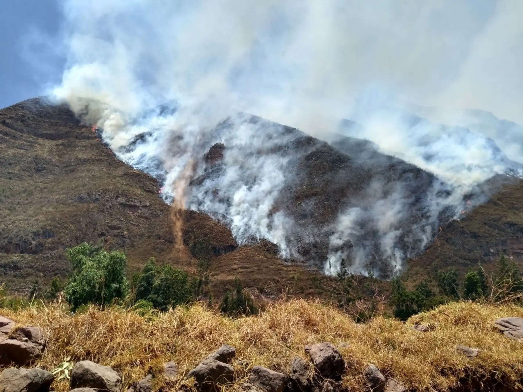 Un total de 1,491 centros poblados de 13 provincias del Cusco tienen territorios en muy alto riesgo ante la ocurrencia de incendios forestales. Foto: ANDINA/Difusión