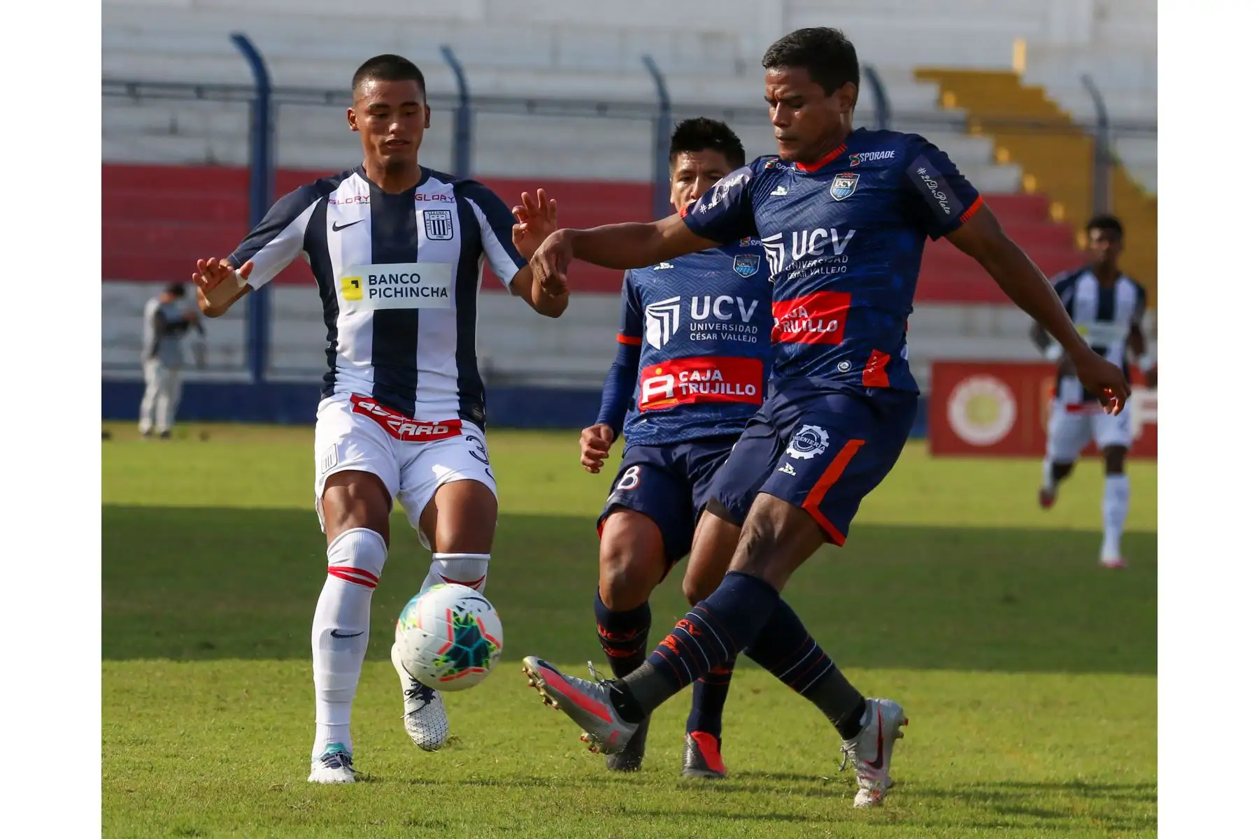 Alianza Lima se enfrentó a César Vallejo en el estadio Iván Elías de Villa El Salvador por la fecha 5 de la Fase 2. Al final el cuadro trujillllano goleó 4-1 al conjunto de La Victoria. Foto: Liga 1