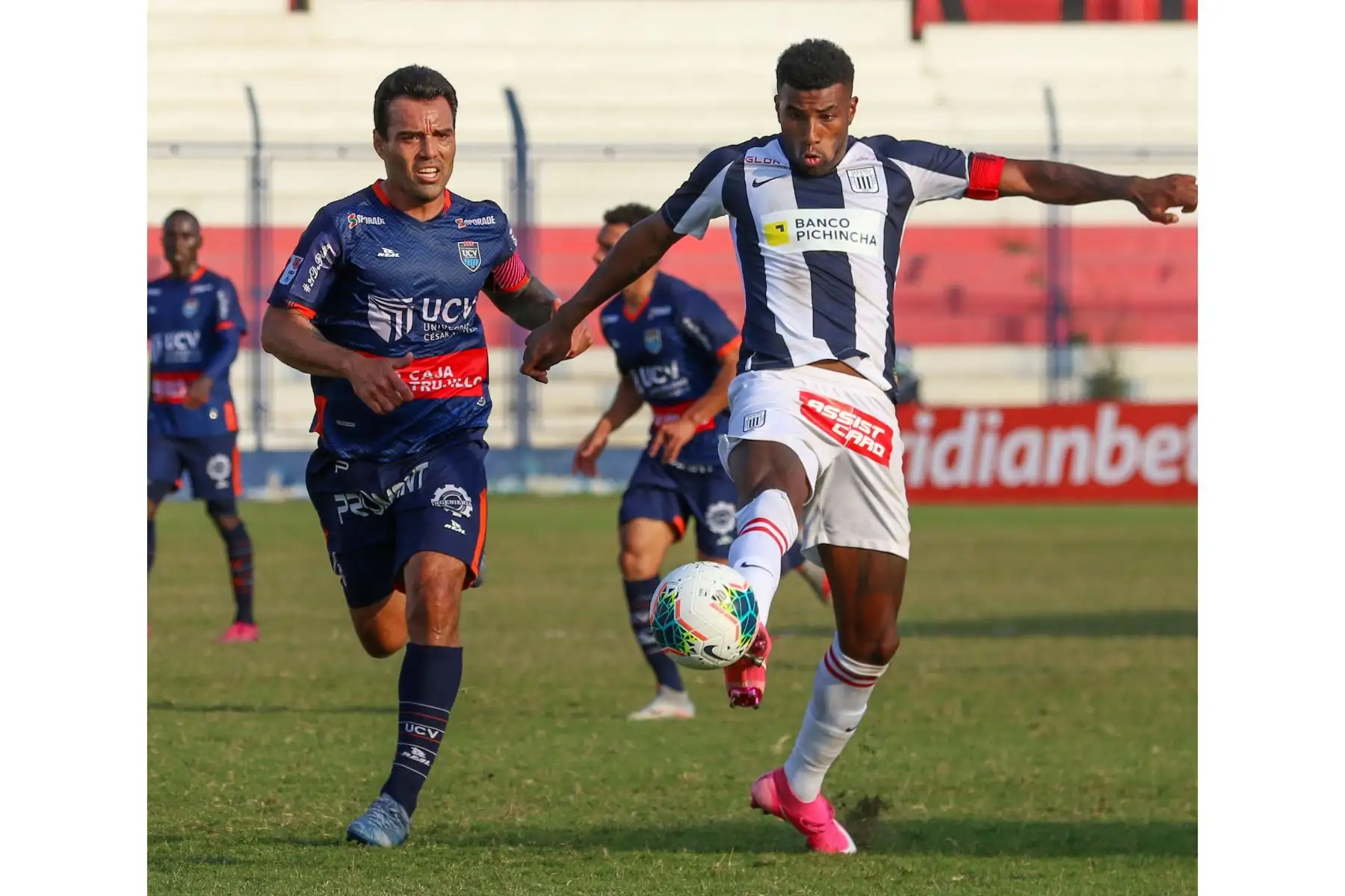 Alianza Lima se enfrentó a César Vallejo en el estadio Iván Elías de Villa El Salvador por la fecha 5 de la Fase 2. Al final el cuadro trujillllano goleó 4-1 al conjunto de La Victoria. Foto: Liga 1
