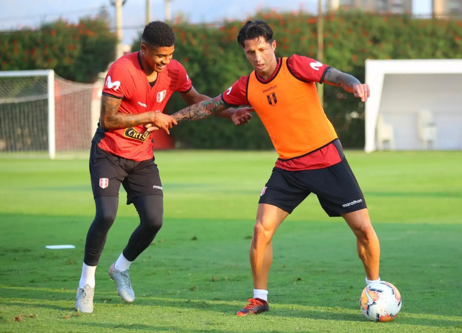La Selección Peruana continuó con su octavo día de entrenamiento en la Videna. Gianluca Lapadula fue al novedad. Foto: FPF