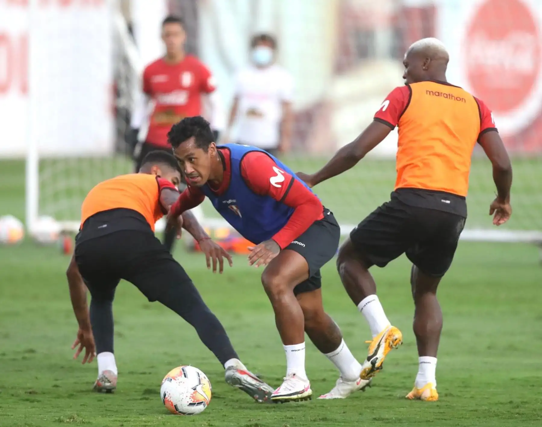 La Selección Peruana continuó con su octavo día de entrenamiento en la Videna. Gianluca Lapadula fue al novedad. Foto: FPF
