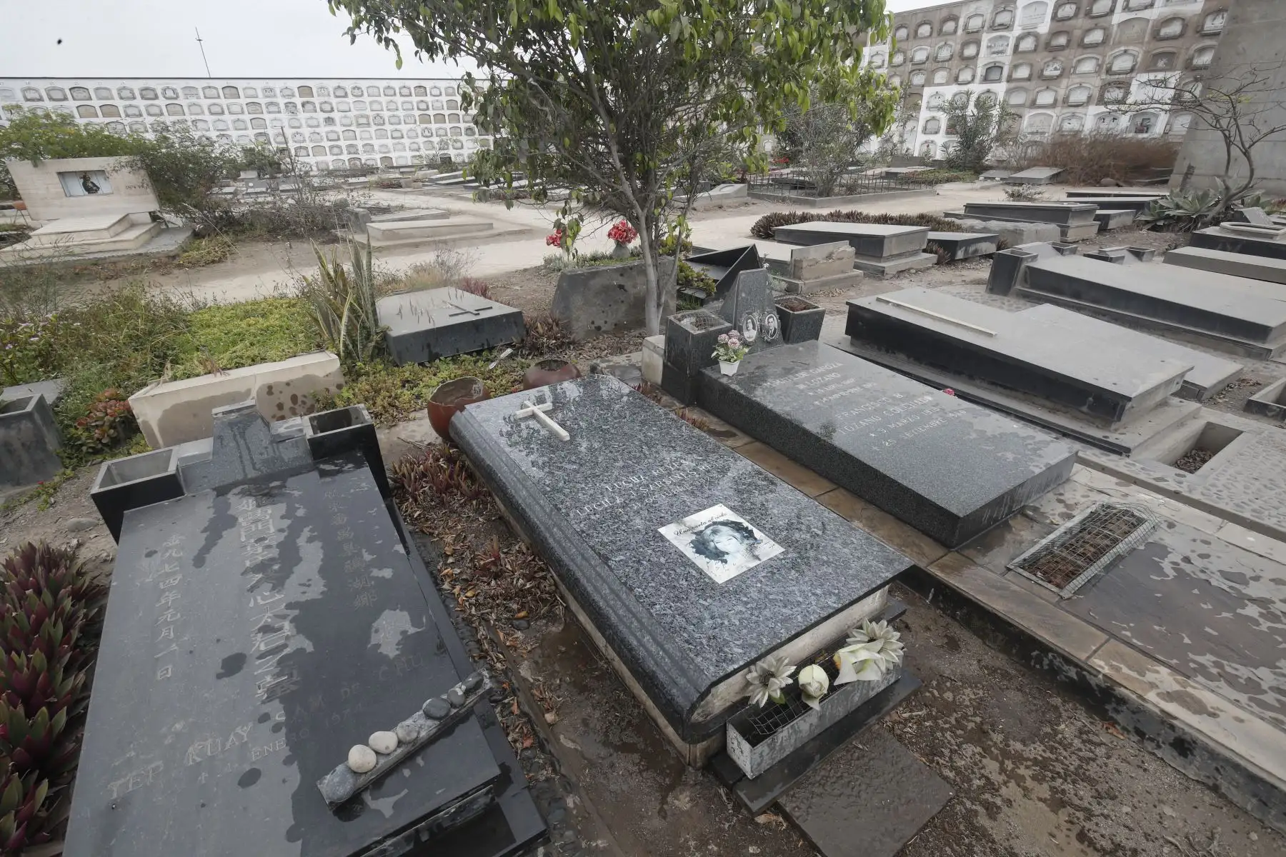 Sepulcro de la artista criolla Lucha Reyes en el Cementerio El Ángel.

Foto:ANDINA/ Juan Carlos Guzmán Negrini