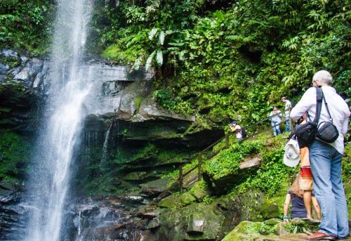 San Martín se consolida como uno de los principales destinos turísticos de la Amazonía peruana gracias a sus hermosos paisajes naturales. ANDINA/Difusión