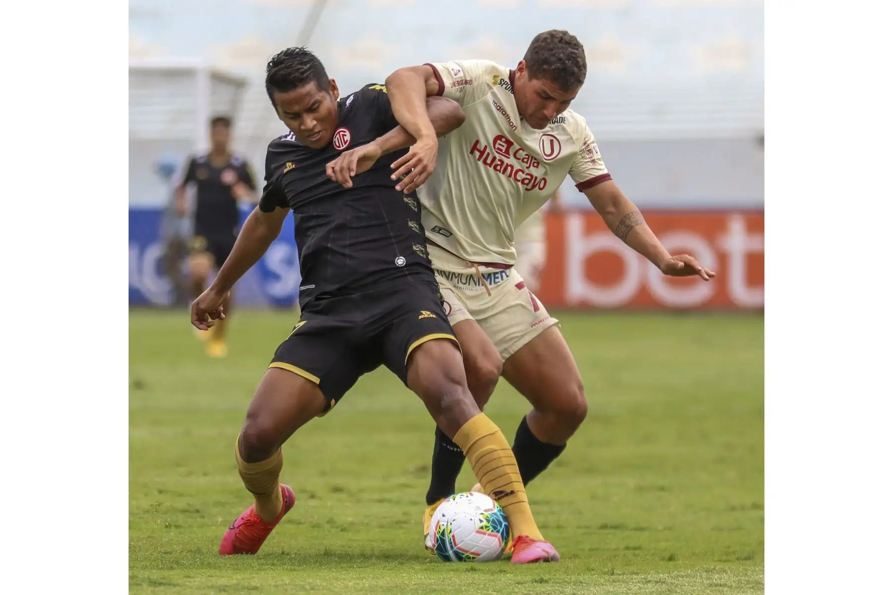 Universitario y UTC se enfrentan por la fecha 5 de la Fase 2 en el estadio Alberto Gallardo. Foto: Liga 1