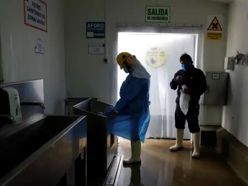Conoce el importante trabajo de Senasa para garantizar la seguridad sanitaria de los alimentos en el marco del estado de emergencia sanitaria decretada por la pandemia de covid-19. ANDINA/Renato Pajuelo