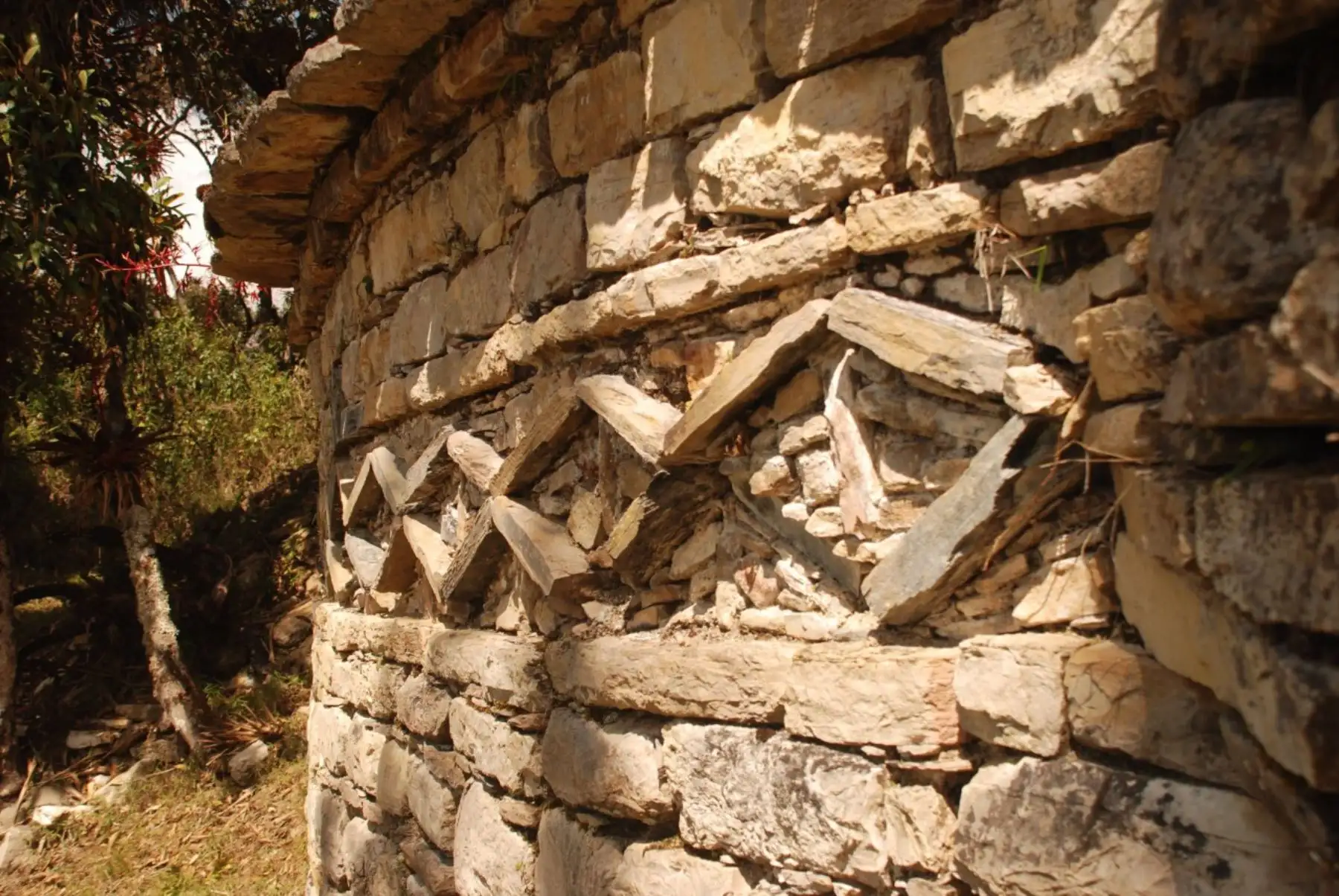 ANDINA/Difusión