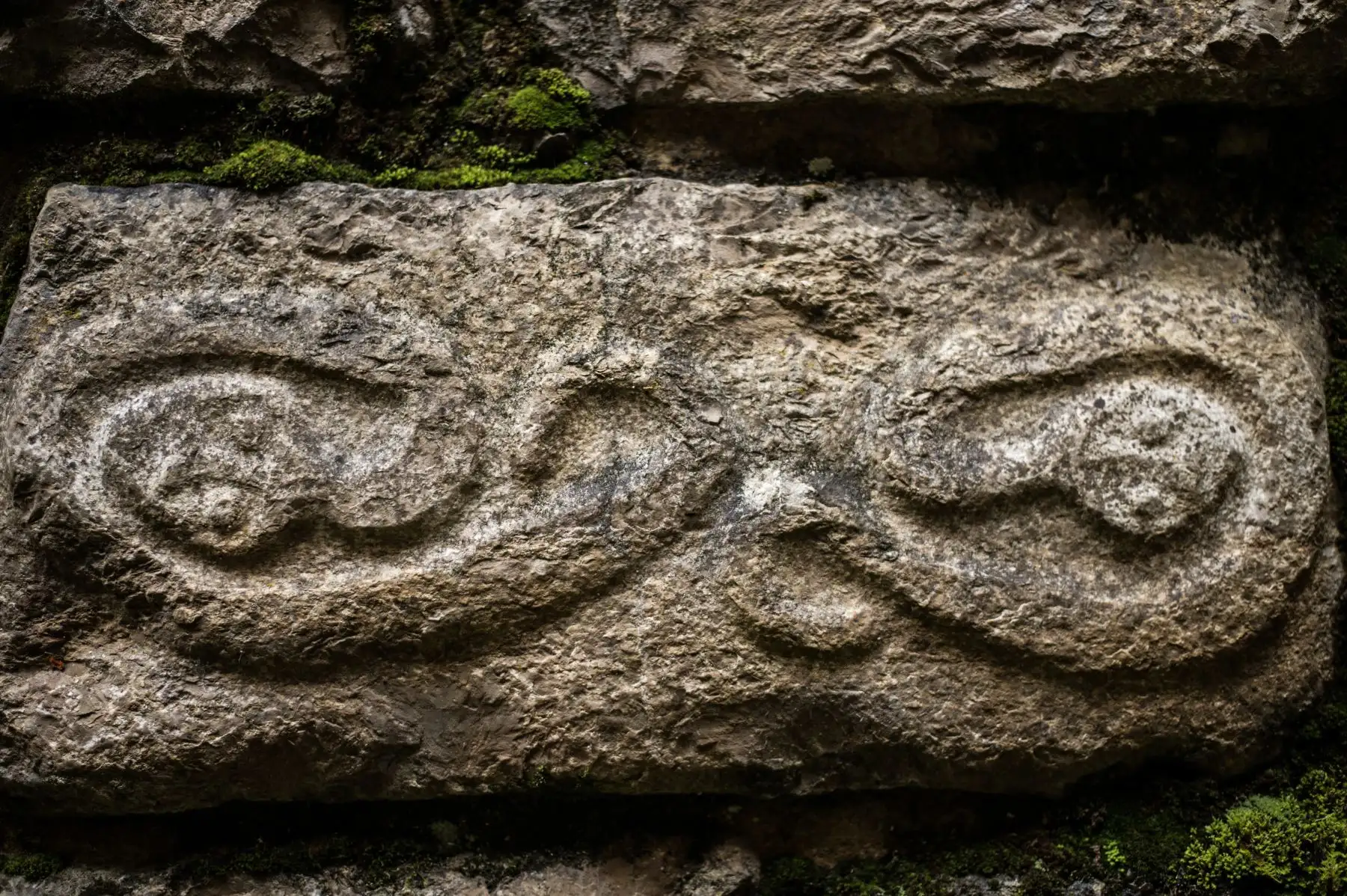 La cultura Chachapoyas construyó la fortaleza de Kuélap, un conjunto arquitectónico de piedra de grandes dimensiones con una gran plataforma artificial. Está asentada sobre la cresta de roca calcárea en la cima del Cerro Barreta (a 3.000 metros de altura). 
. Foto: AFP