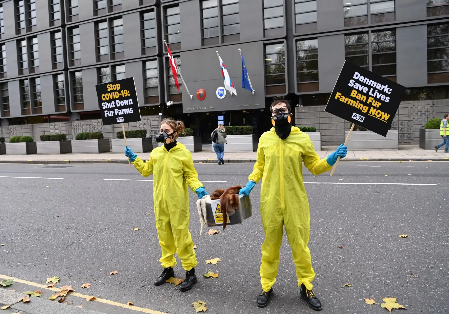 Los activistas de PETA piden la prohibición de las pieles danesas para 