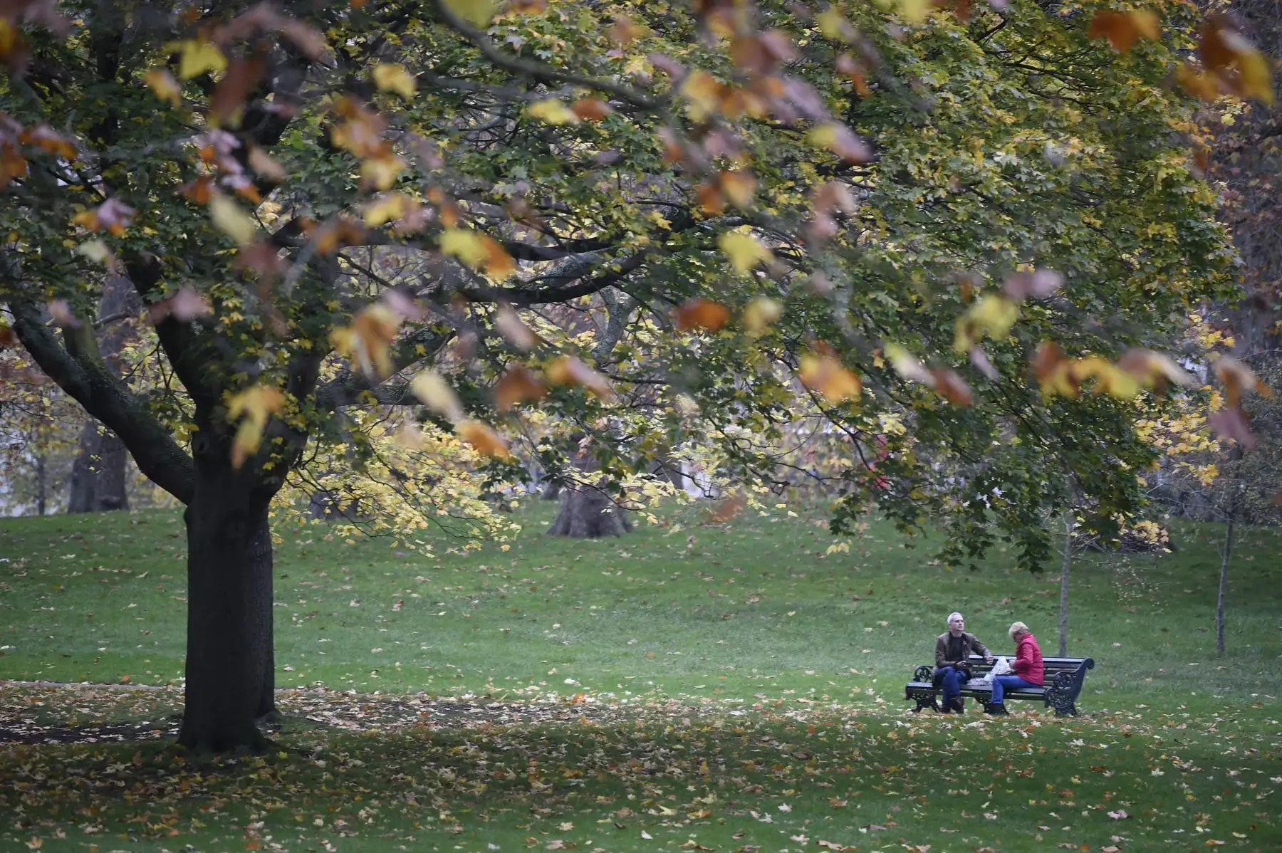 La gente se relaja en un banco en Green Park en el centro de Londres durante un segundo cierre nacional diseñado para contener las crecientes infecciones del nuevo coronavirus. Foto: AFP