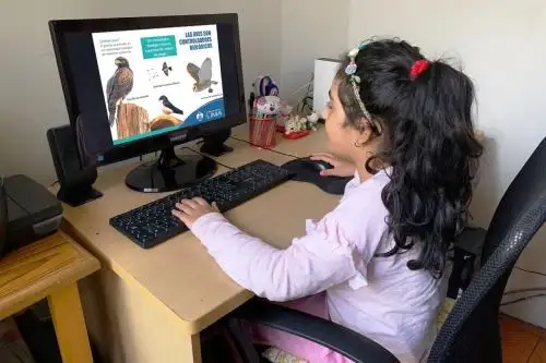 “Pequeños ornitólogos”: niños aprendieron la importancia de las aves de Lima. Foto: ANDINA/difusión.