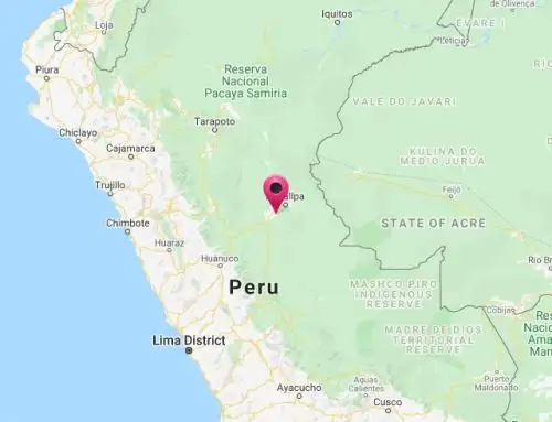 Un sismo de magnitud 4.9 se registró esta mañana en la región Ucayali, el segundo en las últimas 48 horas y el tercero en lo que va de hoy, según informó el Centro Sismológico Nacional del Instituto Geofísico del Perú ANDINA/Difusión