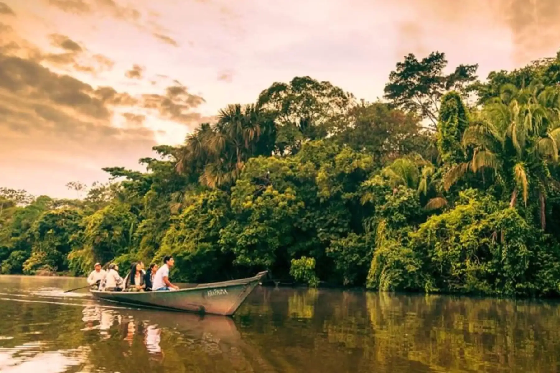 La Reserva Nacional Tambopata volverá a recibir visitantes desde este lunes 16 de noviembre, como parte de la reactivación turística en la región Madre de Dios. Esta sucursal del paraíso  deslumbra por su espectacular belleza paisajística y la megadiversidad biológica que alberga y que estamos llamados a preservar. Foto: Sernanp/Maxime Aliaga