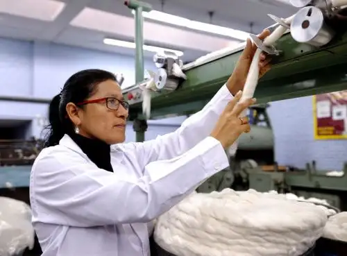 Proyecto de la UNI recibió financiamiento de Concytec para su validación y escalamiento en la industria