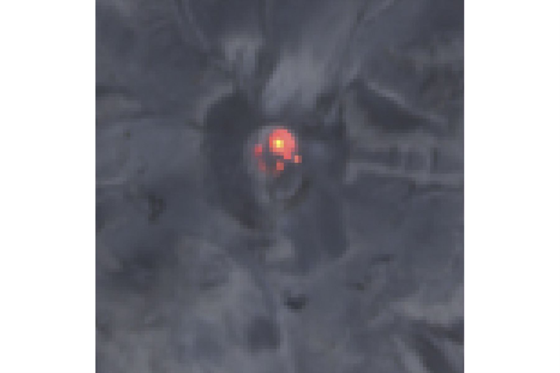 Como parte del actual proceso eruptivo del Sabancaya, se confirmó la formación de un nuevo domo de lava sobre el cráter. Foto: ANDINA/Difusión