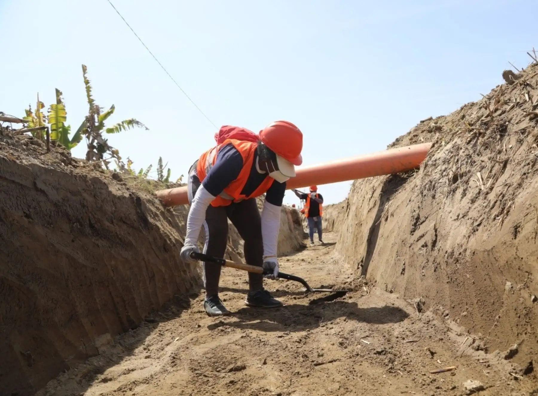 Agricultores de la región Lima participan en el mantenimiento de canales de riego y drenes. ANDINA/Difusión