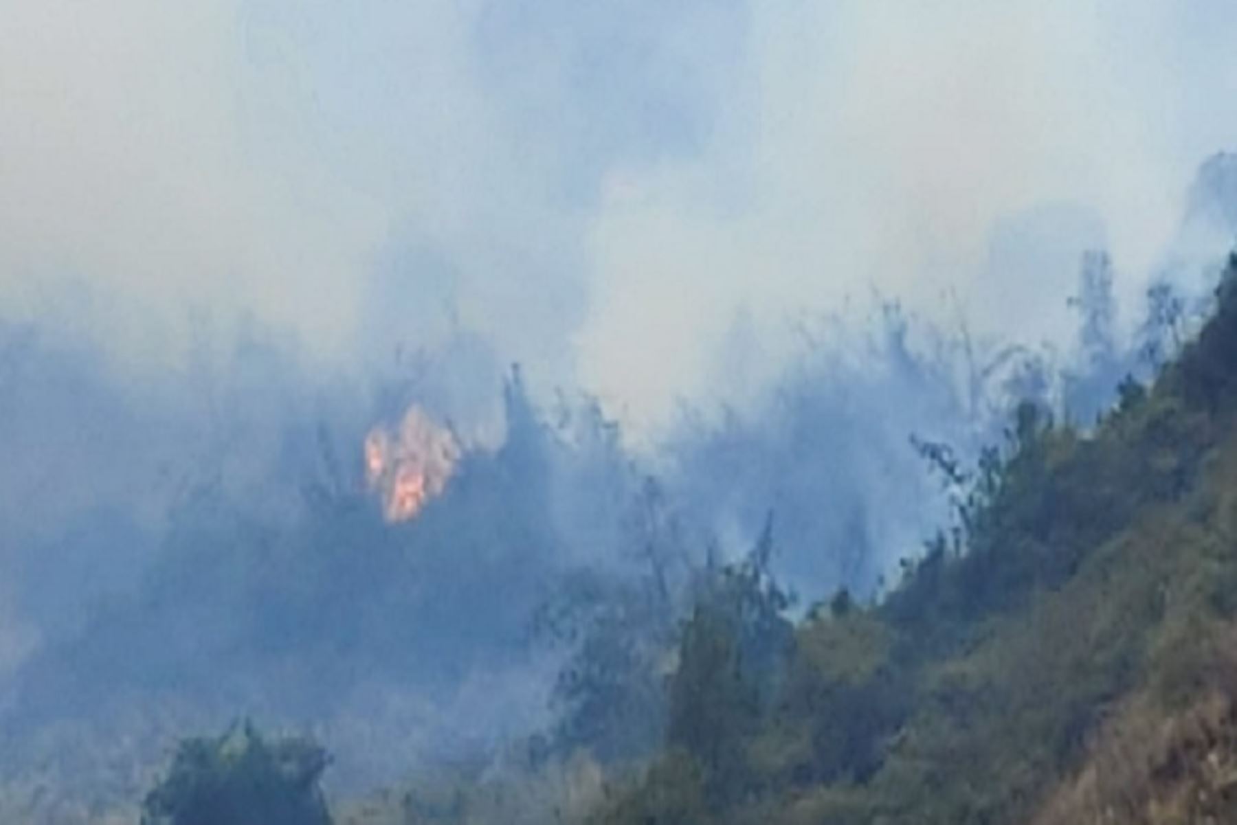 Los incendios forestales empezaron la tarde de ayer y hasta ahora no han podido ser controlados del todo.