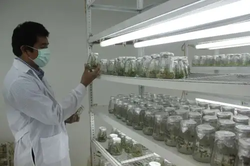 La transferencia de tecnología agraria al proyecto Chavimochic empoderará a la región La Libertad. Foto: ANDINA/Difusión