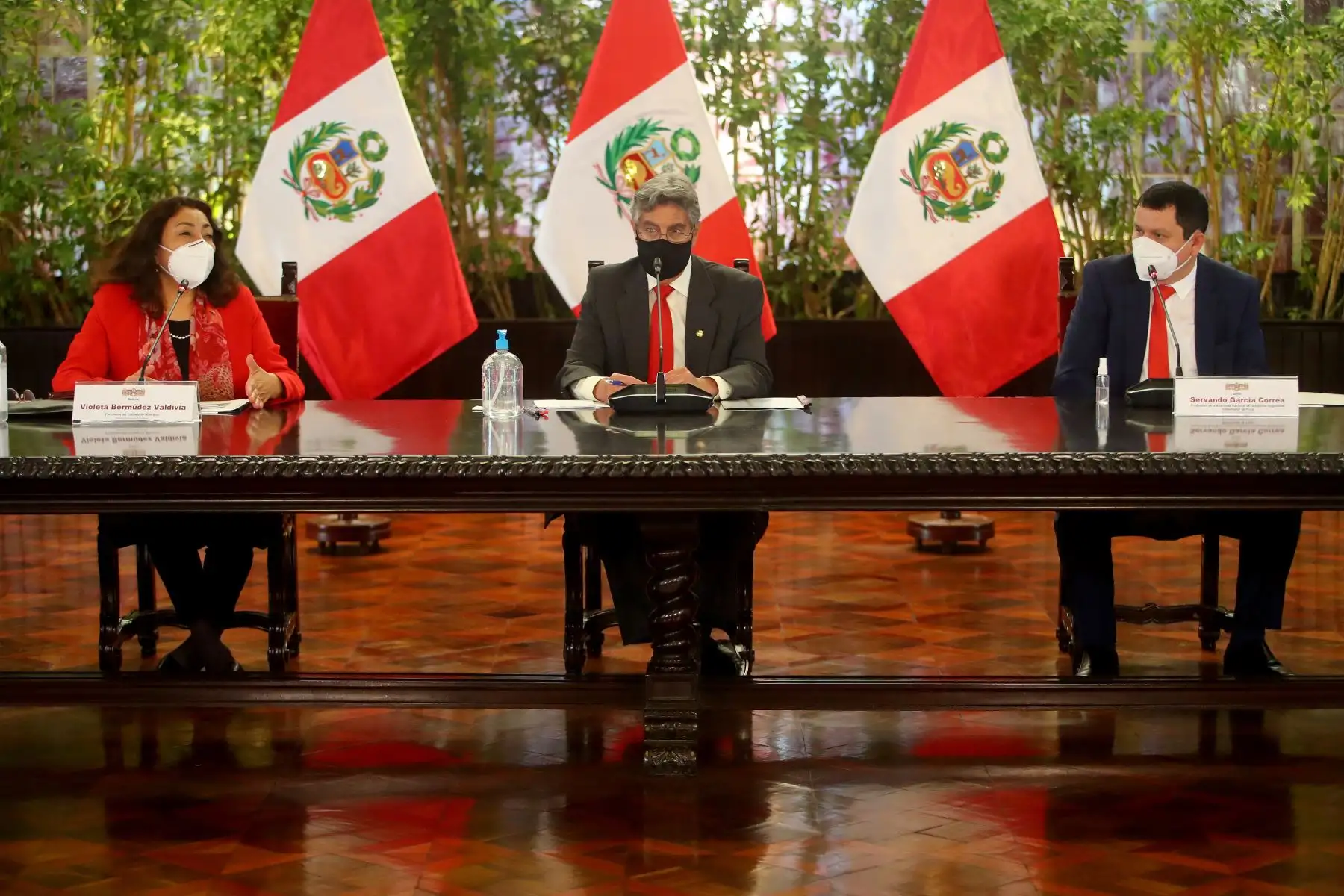 Foto: ANDINA/Prensa Presidencia.