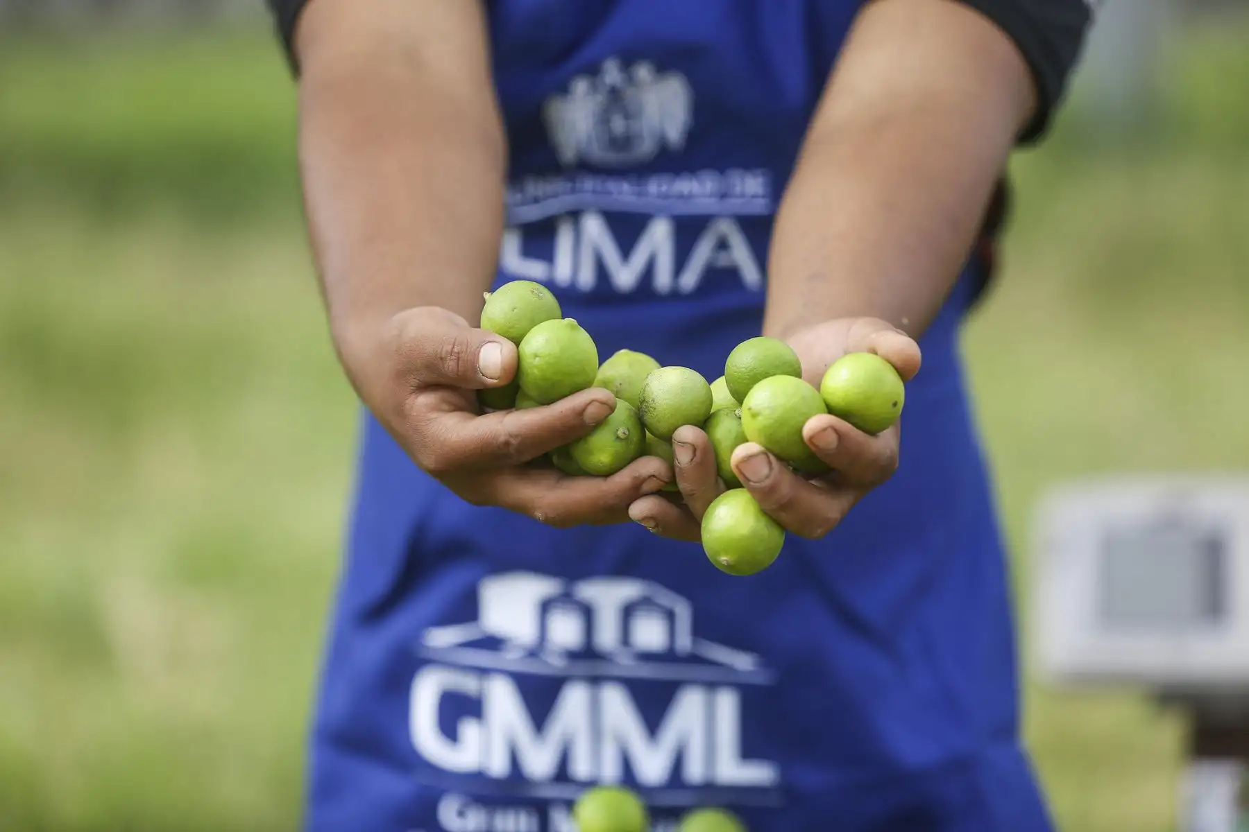 Municipalidad Metropolitana de Lima presenta mercado mayorista móvil en Los Olivos. Foto: MML