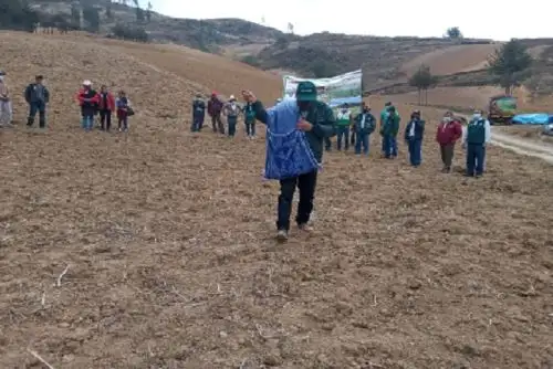 La ejecución de esta campaña prevé una inversión de más de dos millones de soles y se realiza en coordinación con los gobiernos locales, líderes comunales y familias productoras.