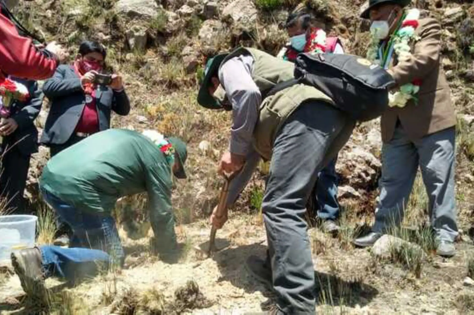 Ministerio de Agricultura y Riego, dispuso apoyar la iniciativa de un grupo de emprendedores de la zona, para la creación de áreas de cultivo de hongos pineros.
Foto:Minagri