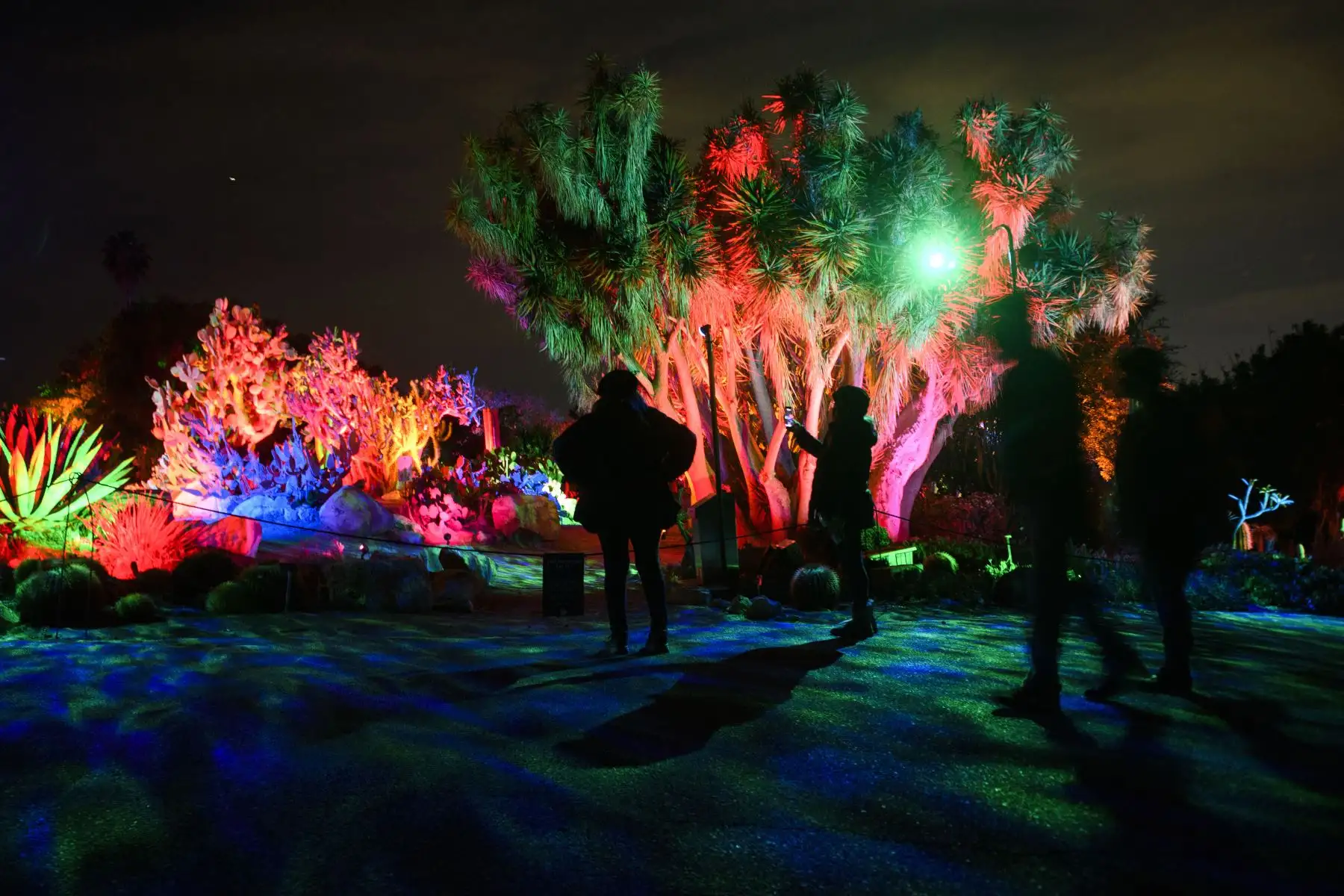 Las personas usan máscaras faciales debido a las restricciones de Covid-19 mientras caminan al aire libre durante la exposición de luces "Glow" en el Jardín Botánico de la Costa Sur en la península de Palos Verdes, California, unas horas antes del inicio de las nuevas restricciones. Foto: AFP