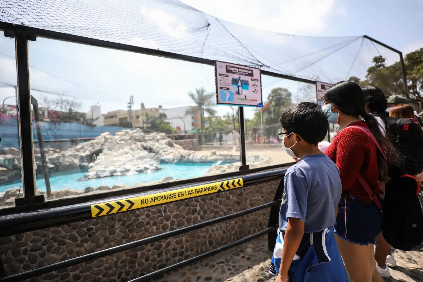 De esta manera podrán visitar el Parque de las Leyendas, los Pantanos de Villa, el Circuito Mágico del Agua y los clubes zonales Santa Rosa (Ancón), Manco Cápac (Carabayllo), Sinchi Roca (Comas), Lloque Yupanqui (Los Olivos), Cápac Yupanqui (Rímac), Flor de Amancaes (Villa María del Triunfo), Cahuide (Ate), Huayna Cápac (San Juan de Miraflores) y Huáscar (Villa El Salvador).
Foto: Municipalidad de Lima
